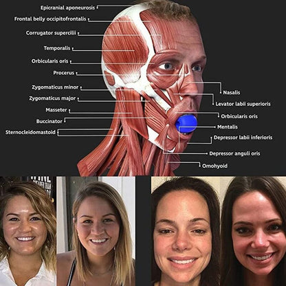 Standard Jaw Exerciser and Toner. Increase jaw strength and muscle tone. Varying bite forces.